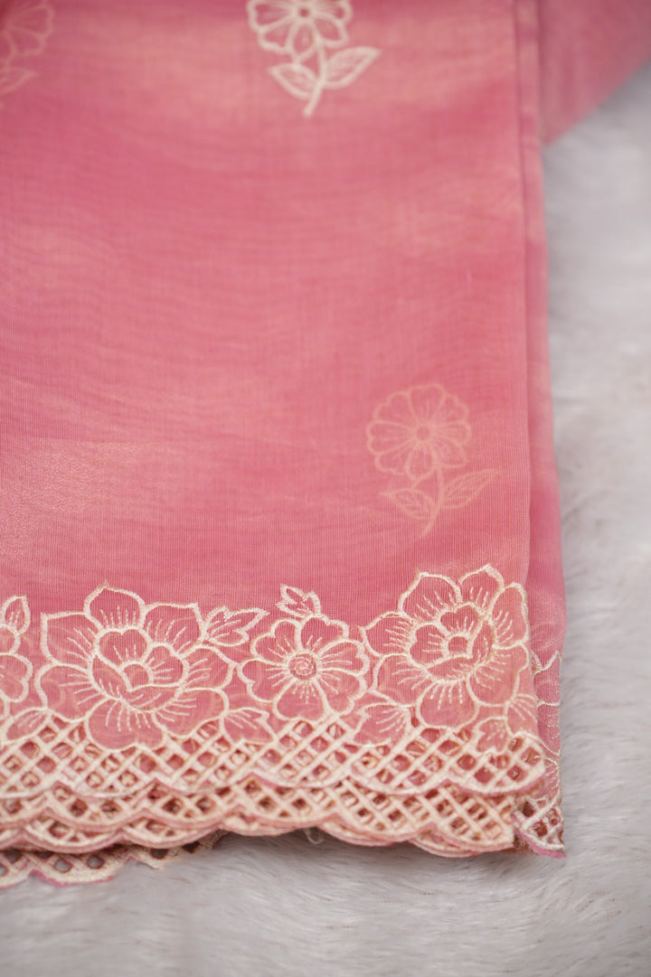 Organza Saree TSA5237