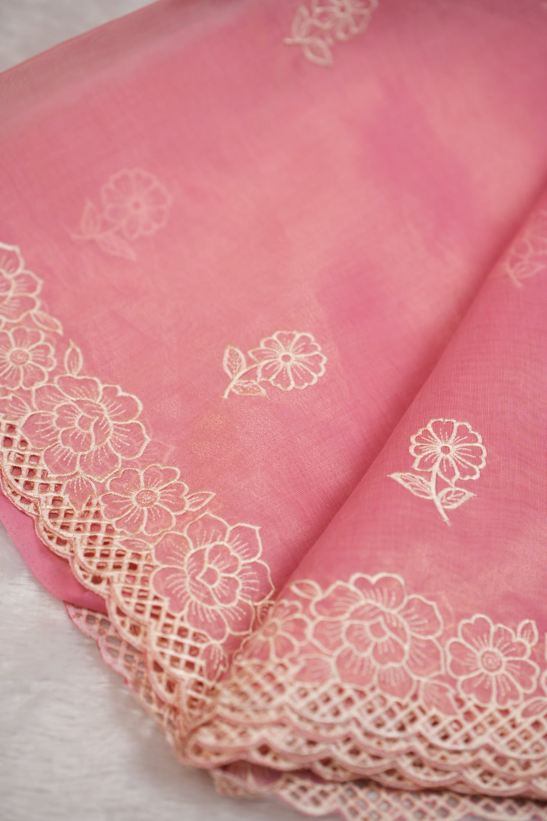 Organza Saree TSA5237