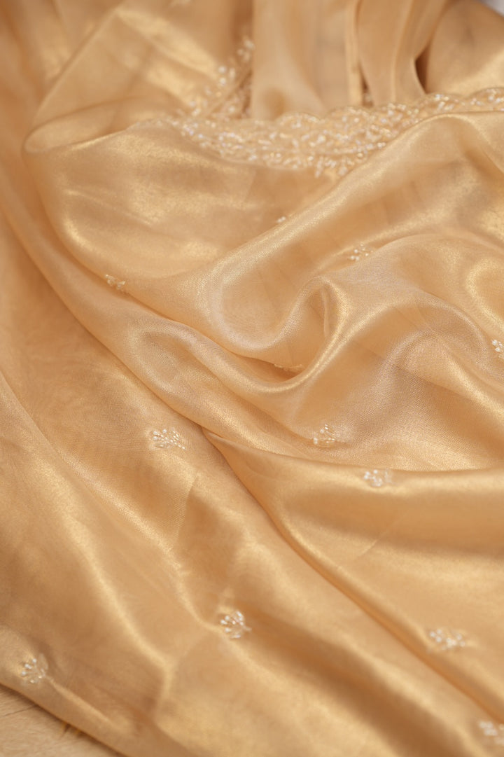 Tissue Saree TSA5243