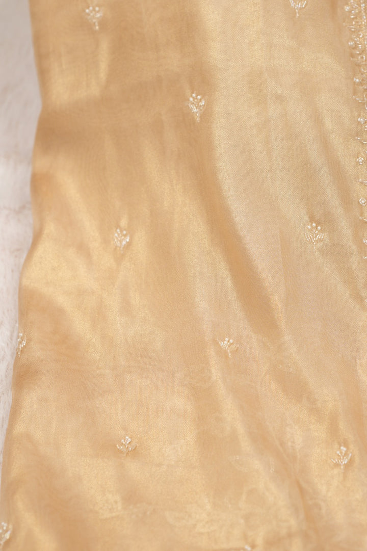 Tissue Saree TSA5243