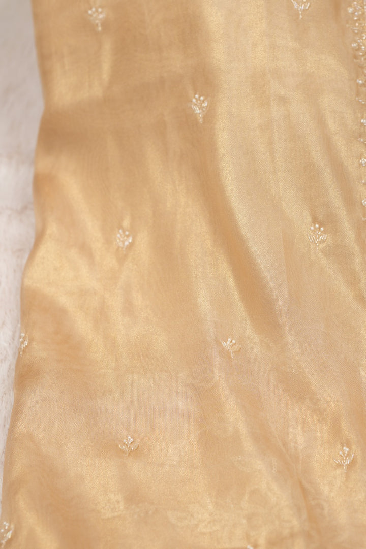 Tissue Saree TSA5243