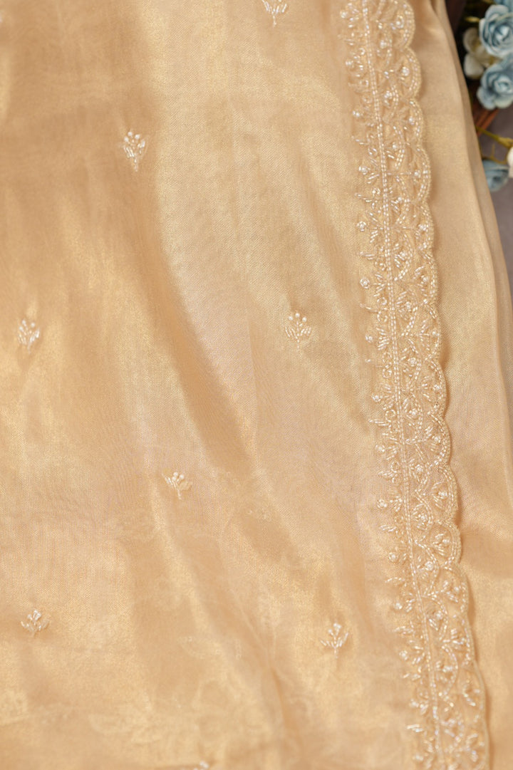 Tissue Saree TSA5243
