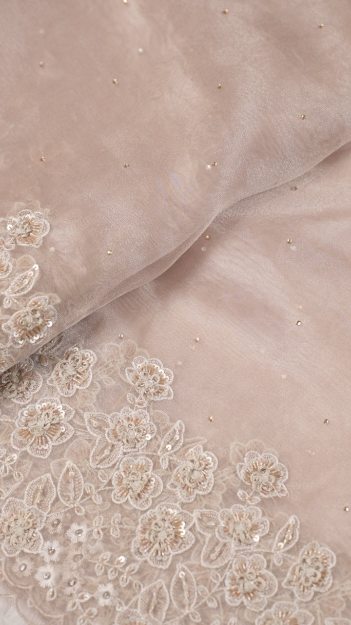 Glass Organza Saree TSA5261