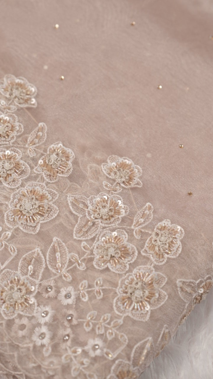 Glass Organza Saree TSA5261