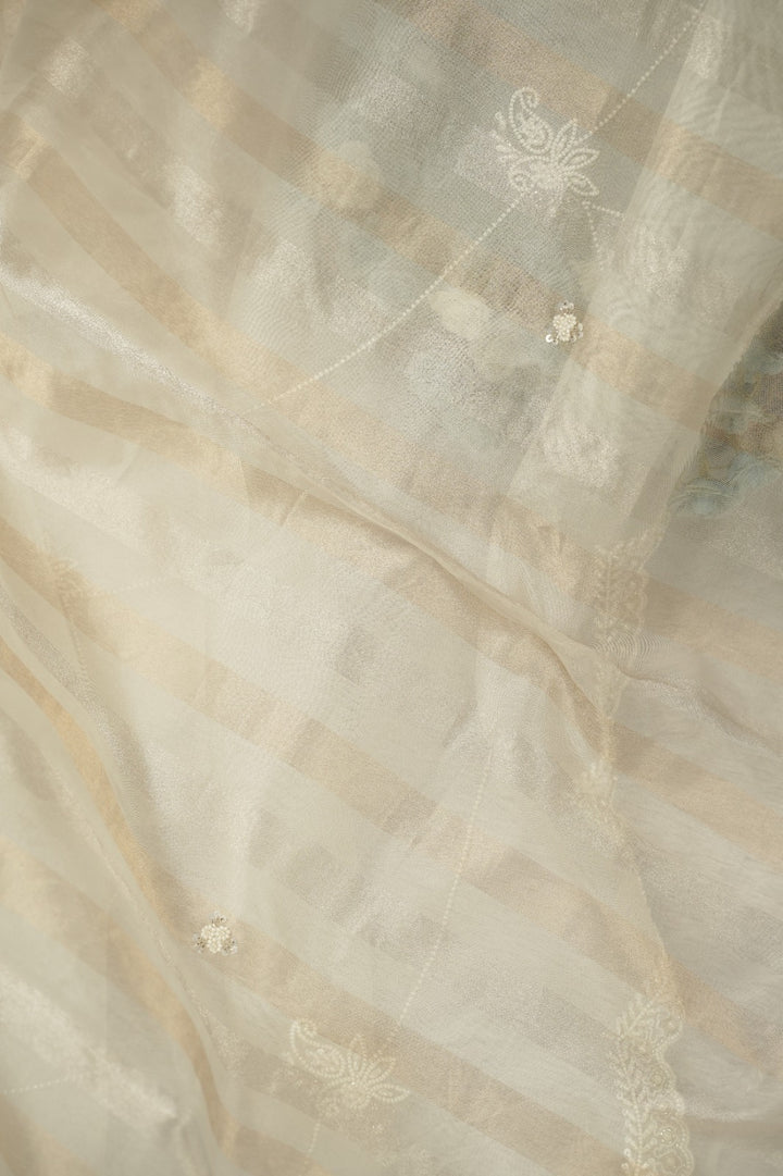 Organza Saree TSA5283