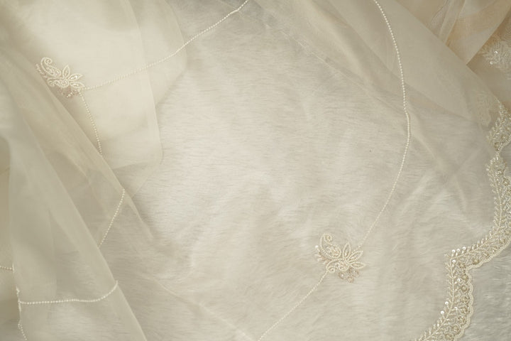 Organza Saree TSA5283