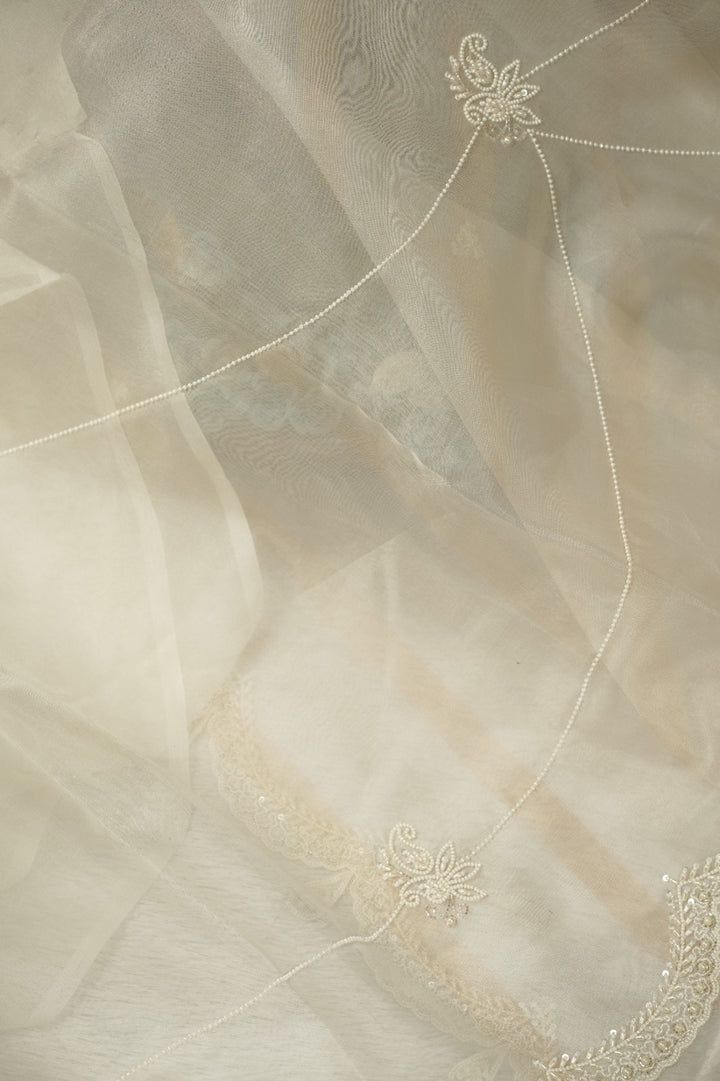 Organza Saree TSA5283