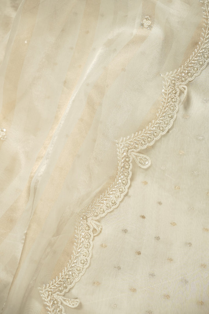 Organza Saree TSA5283