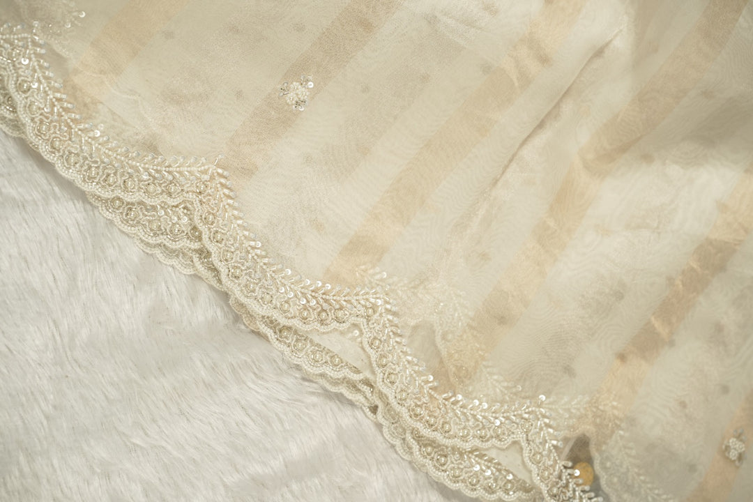 Organza Saree TSA5283
