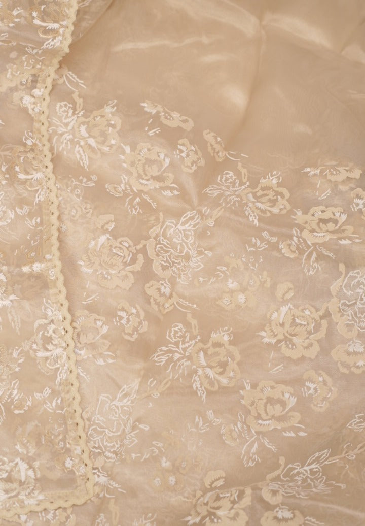 Organza Saree TSA5296