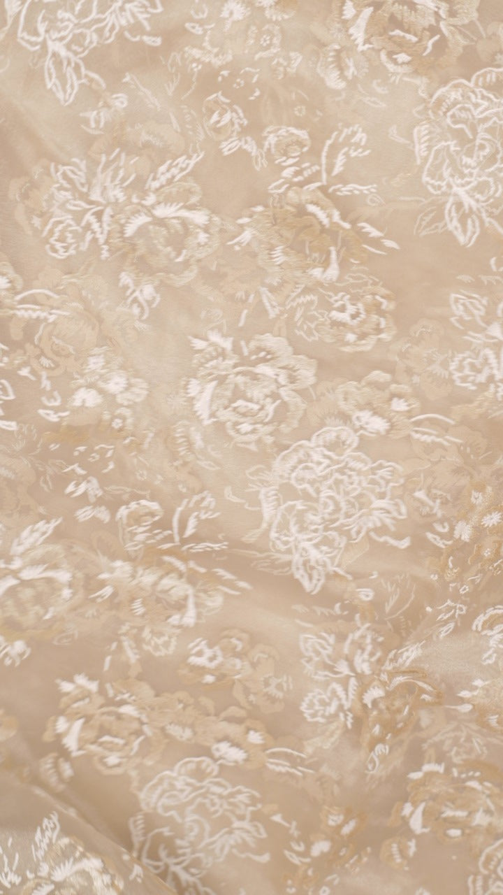 Organza Saree TSA5296
