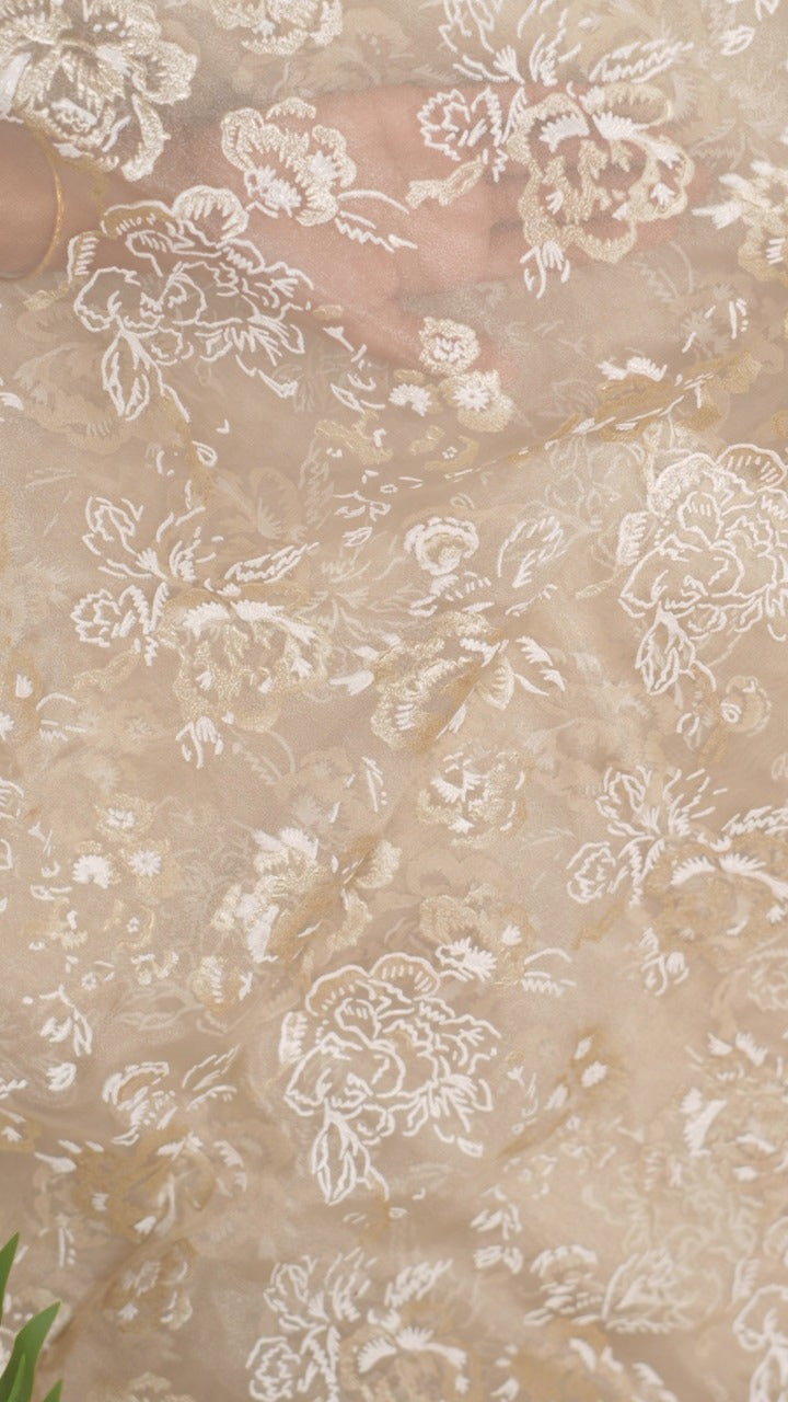 Organza Saree TSA5296