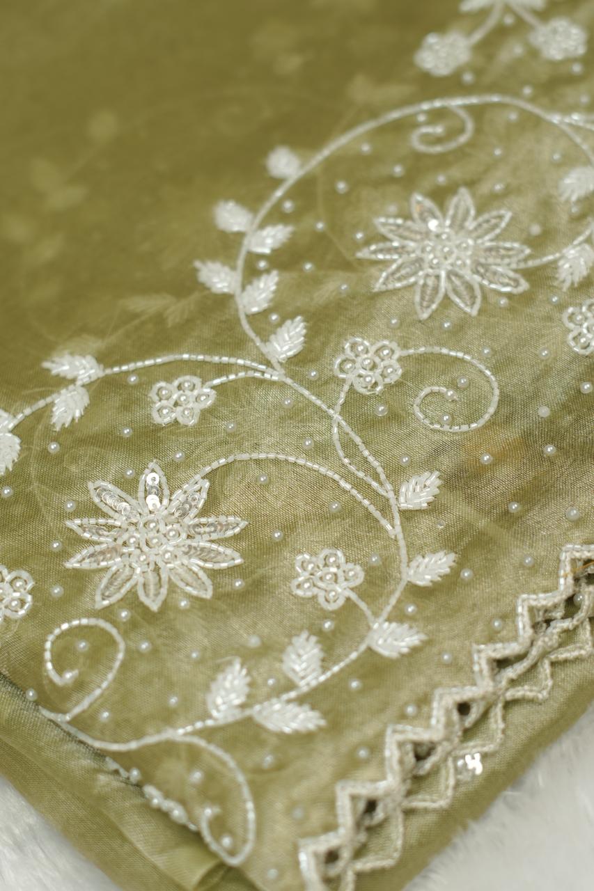 Tissue Organza Saree TSA5298