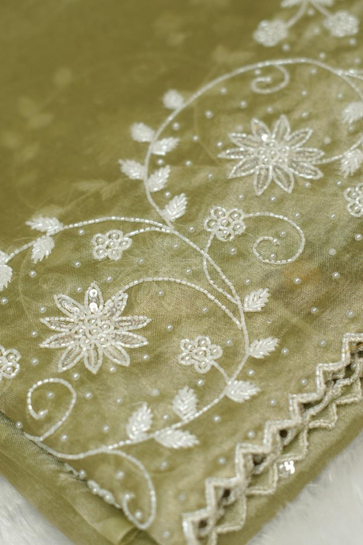 Tissue Organza Saree TSA5298