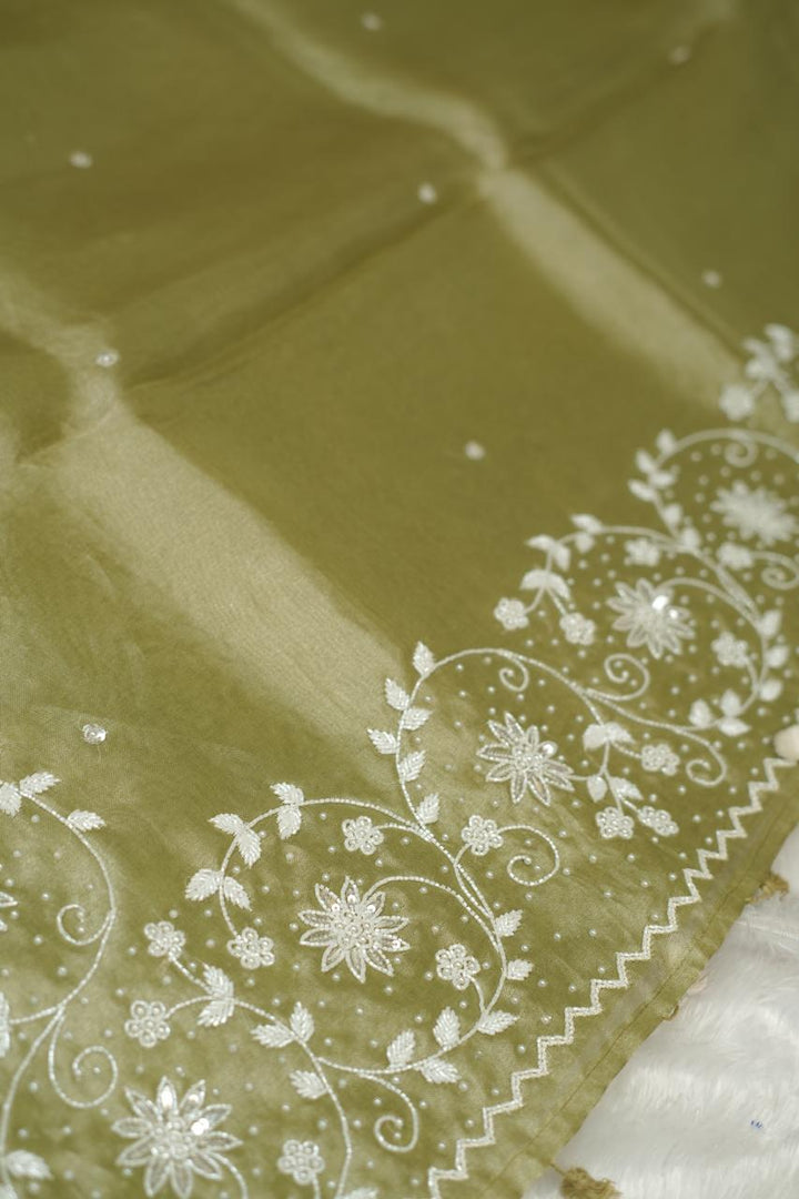Tissue Organza Saree TSA5298