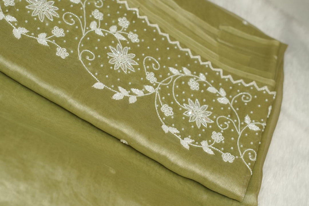 Tissue Organza Saree TSA5298