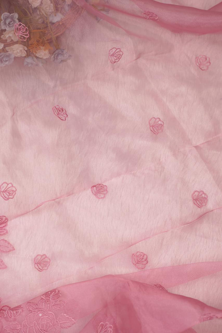 Glass Organza Salwar  TSS5300