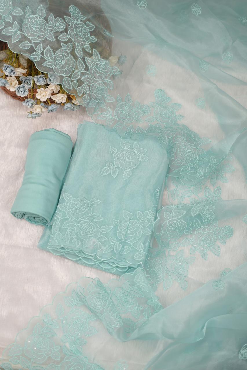Glass Organza Salwar  TSS5300