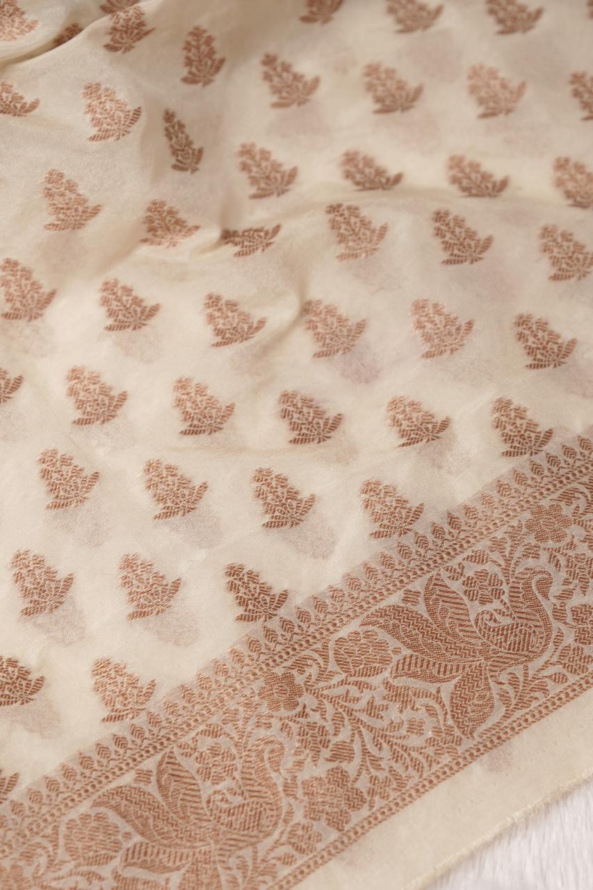 Semi Banarasi Salwar TSS5306