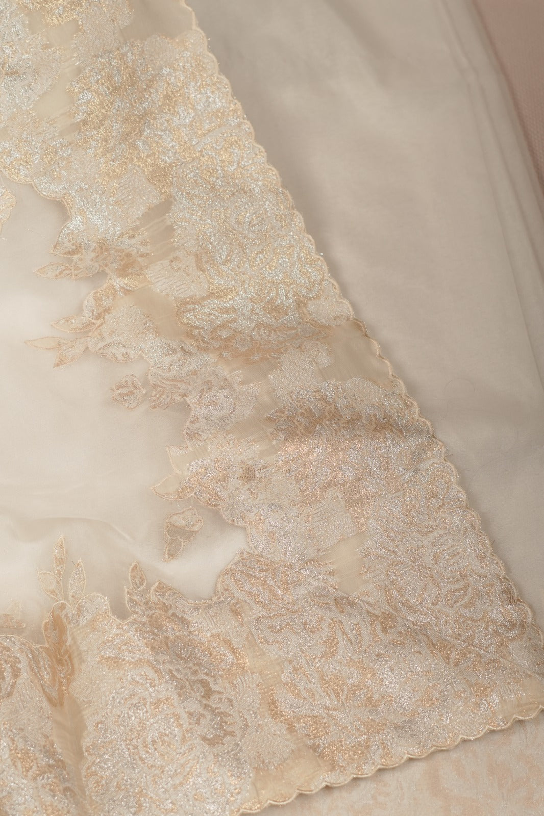 Turkish Organza Saree TSA5311