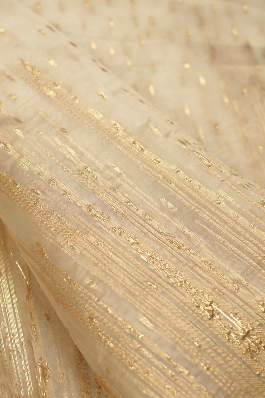 Turkish Organza Material TRF5319