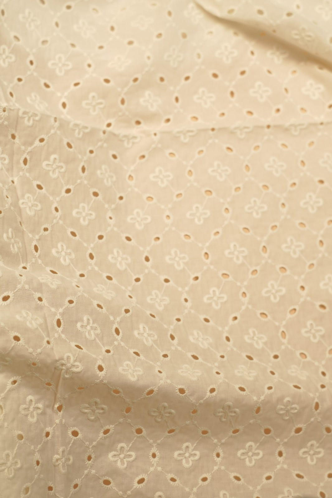 Cotton Hakoba Material TRF5320
