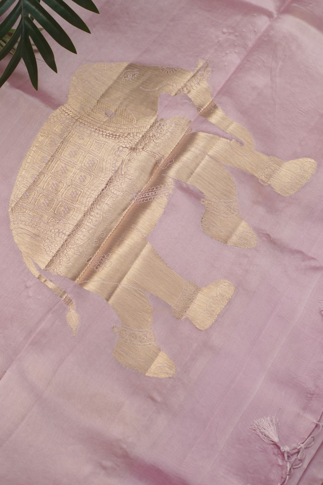 Muga Tussar Saree TSA5325