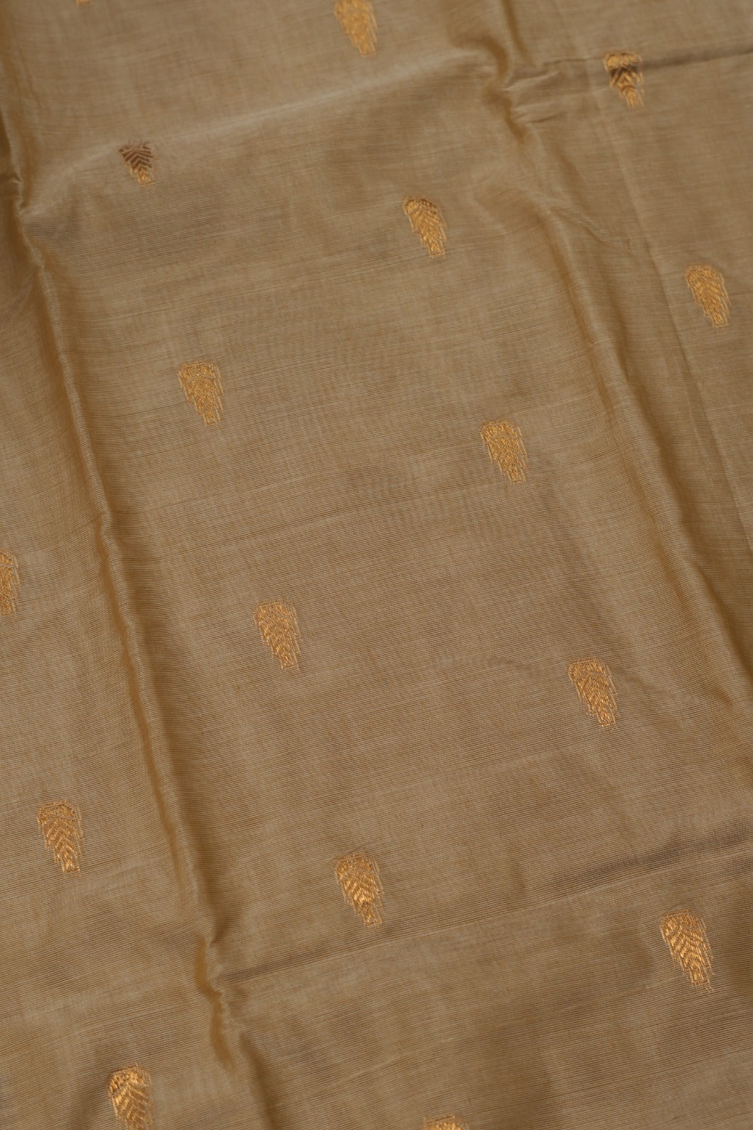 Kanchi Cotton Saree TSA5329