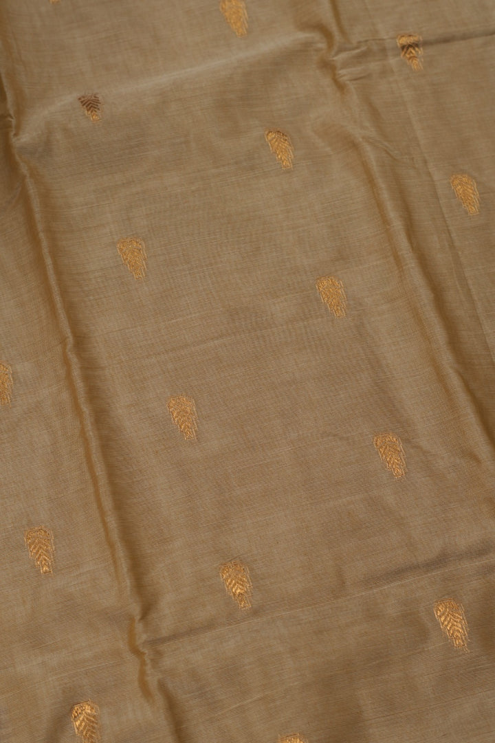 Kanchi Cotton Saree TSA5329
