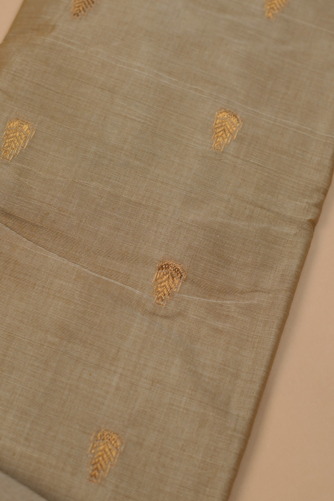 Kanchi Cotton Saree TSA5329