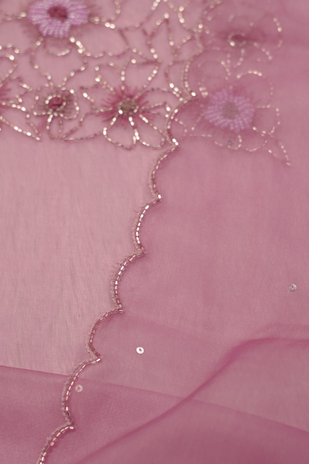 Organza Salwar TSS5334