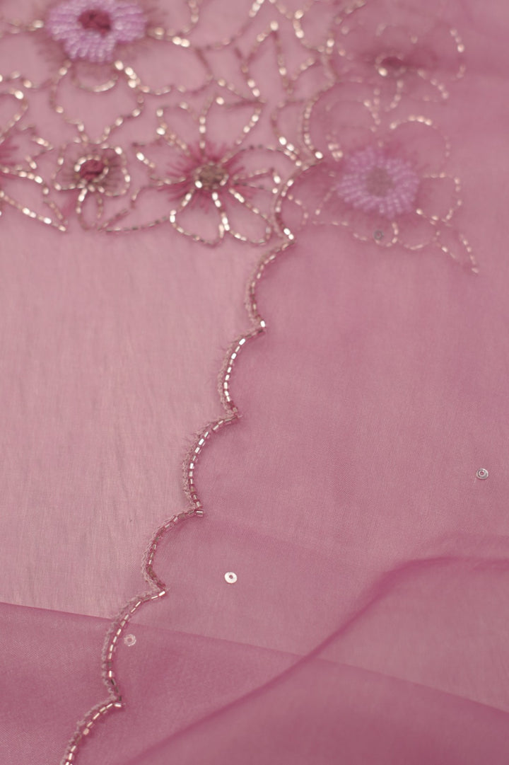 Organza Salwar TSS5334