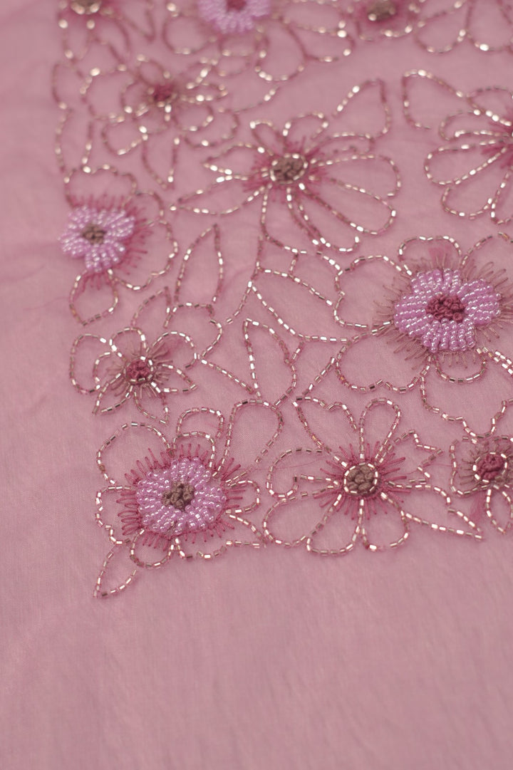 Organza Salwar TSS5334