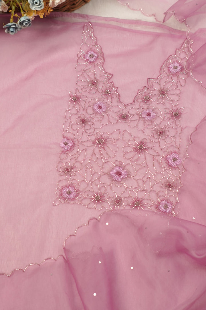 Organza Salwar TSS5334