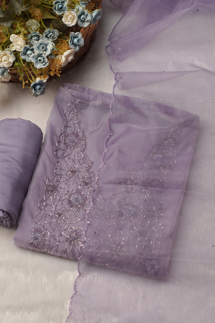 Organza Salwar TSS5334