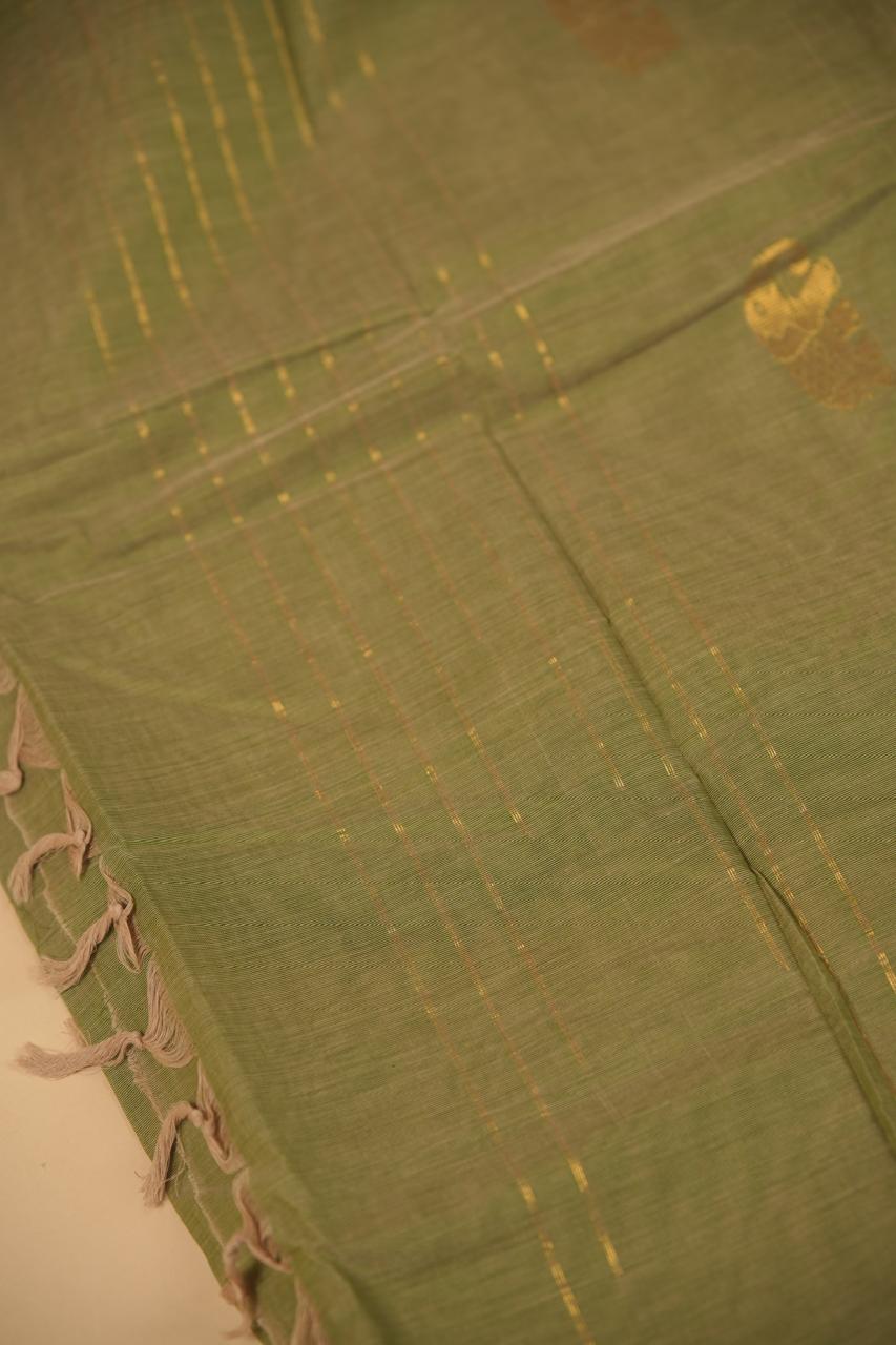 Kanchi Cotton Saree TSA5337