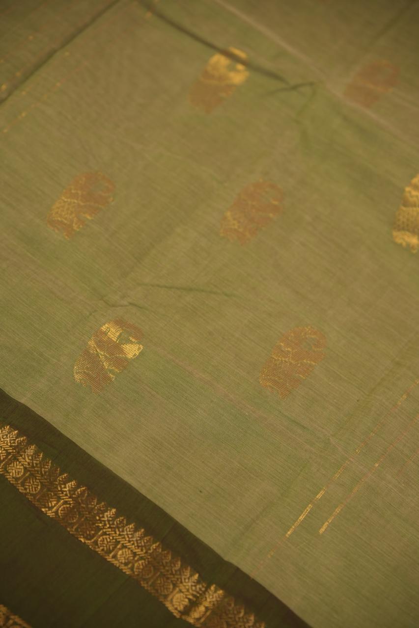 Kanchi Cotton Saree TSA5337