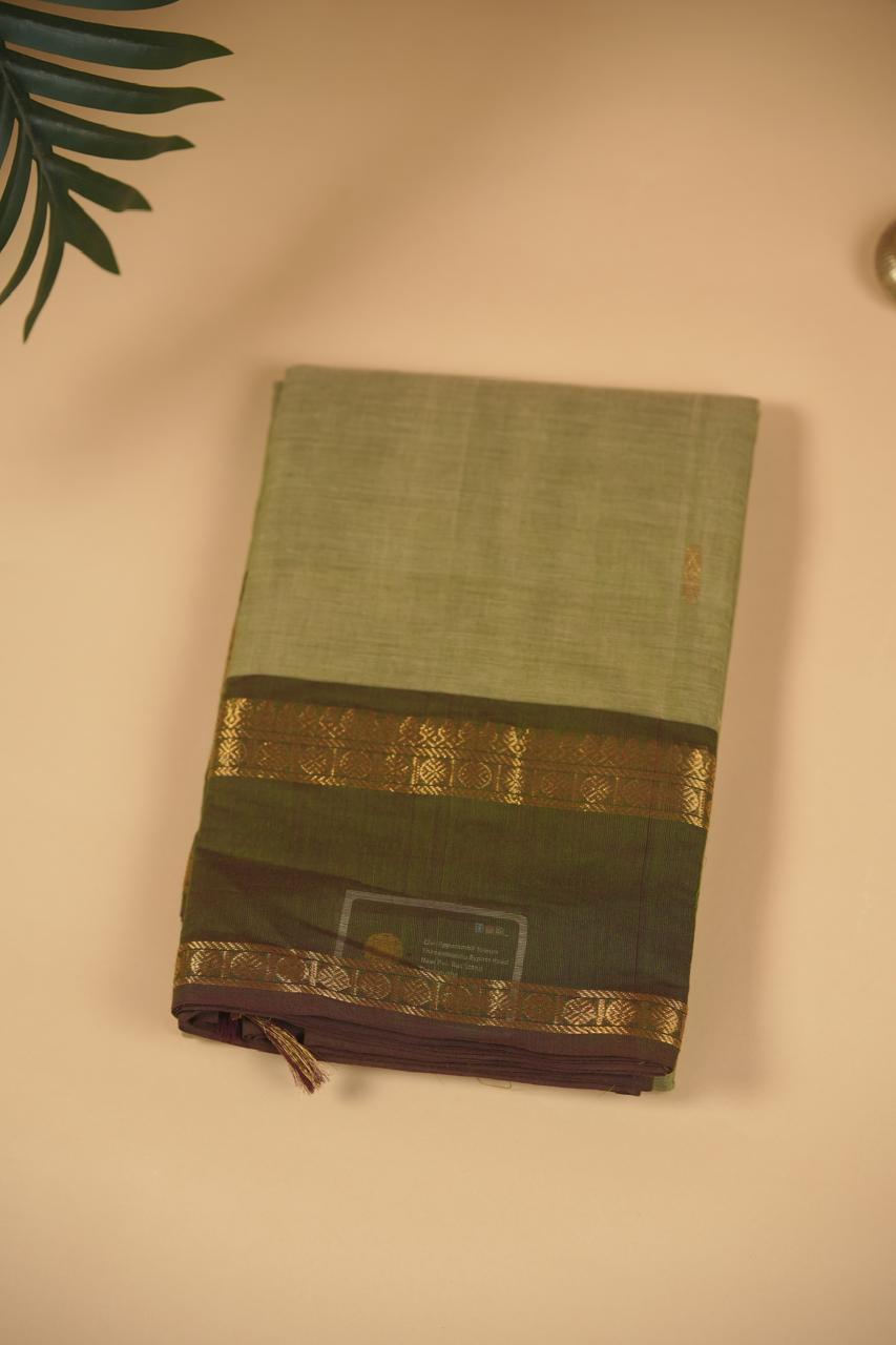 Kanchi Cotton Saree TSA5337