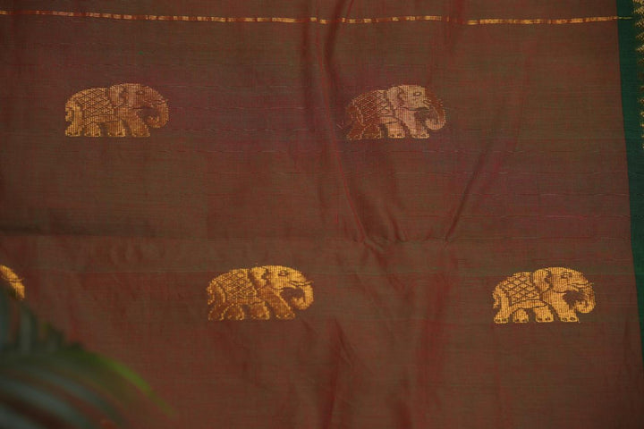 Kanchi Cotton Saree TSA5337