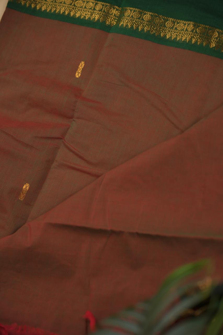 Kanchi Cotton Saree TSA5337