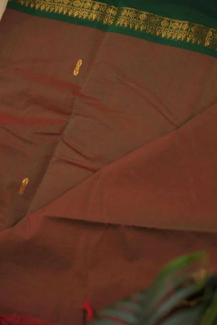 Kanchi Cotton Saree TSA5337