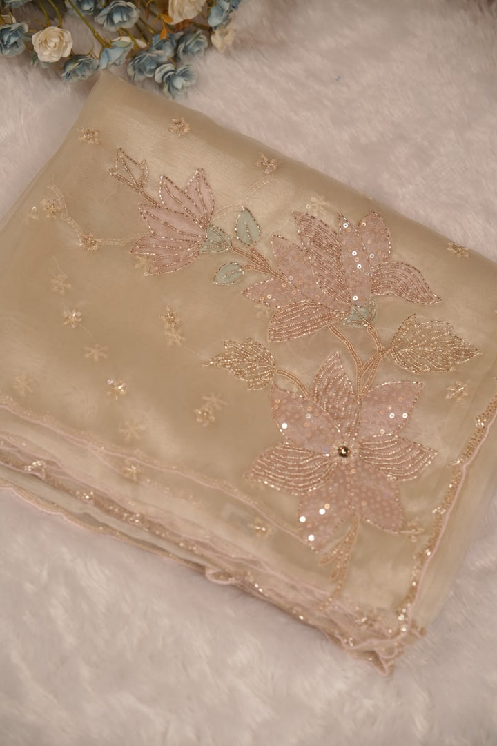 Organza Saree TSA5340