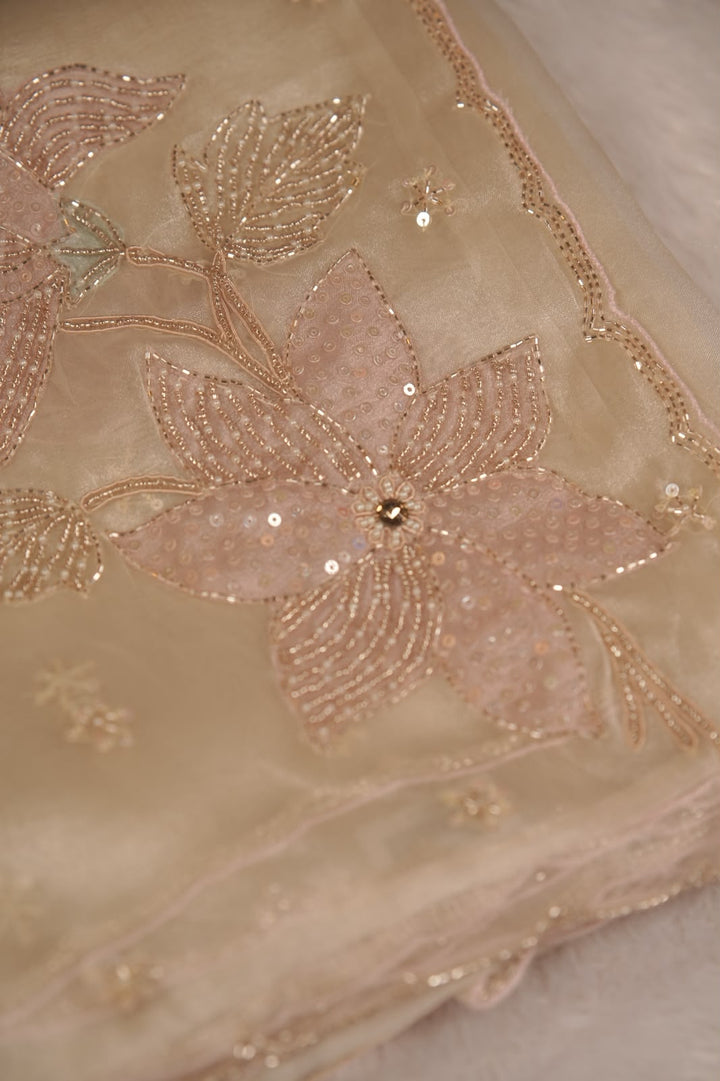 Organza Saree TSA5340
