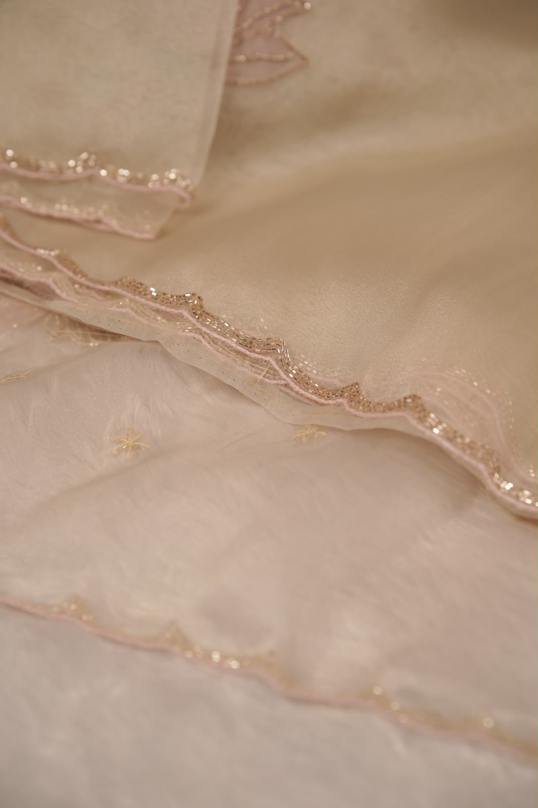Organza Saree TSA5340