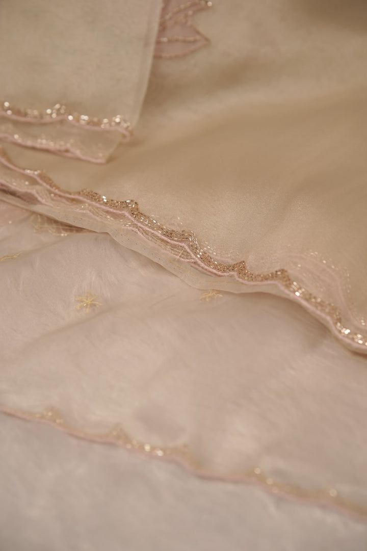 Organza Saree TSA5340