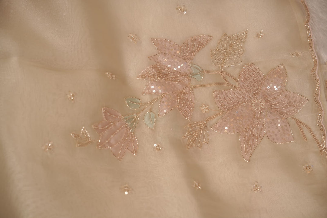 Organza Saree TSA5340