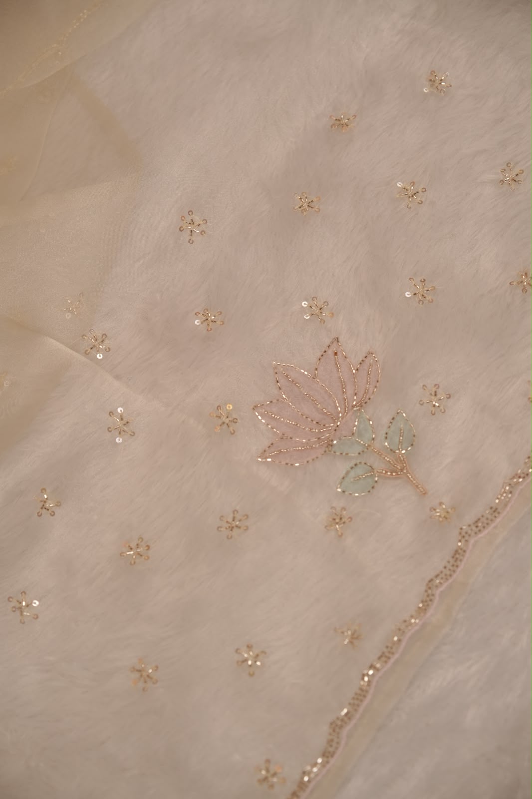 Organza Saree TSA5340