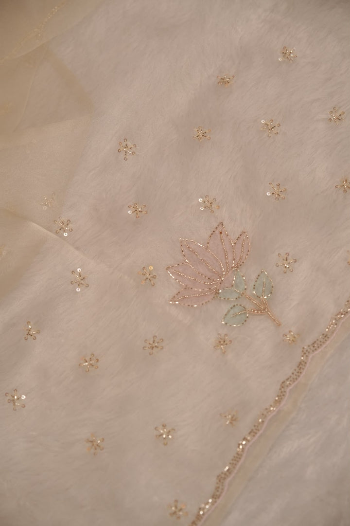 Organza Saree TSA5340