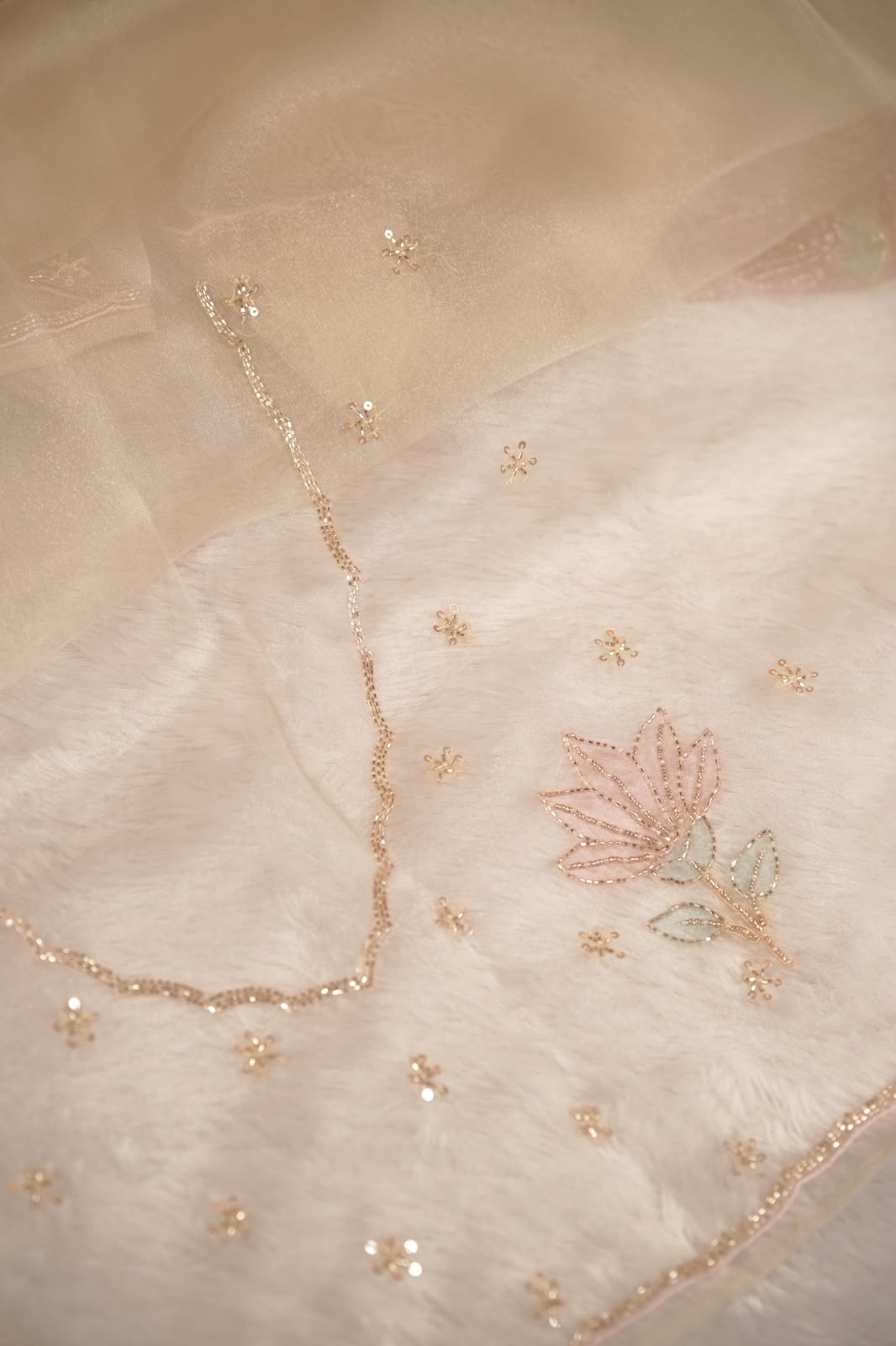 Organza Saree TSA5340