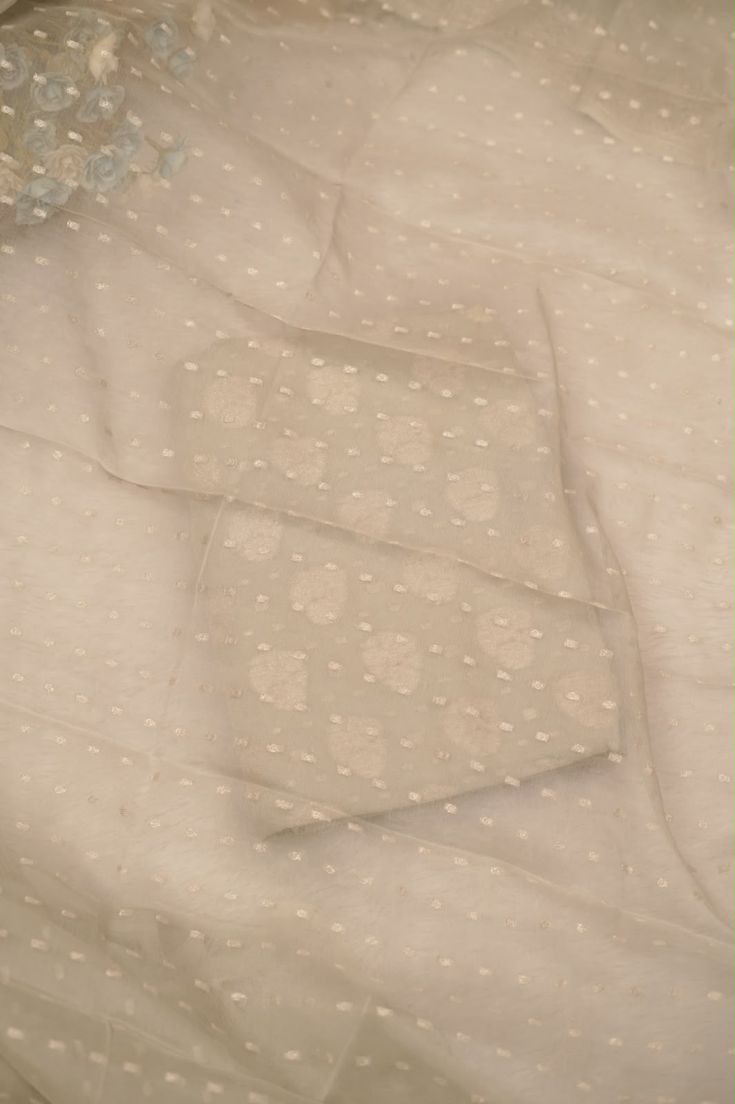 Banarasi Salwar TSS5349